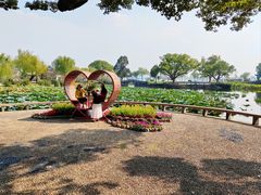 -无锡蠡湖国家湿地公园-蠡园