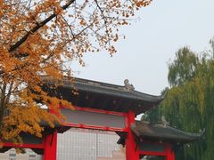 -四川大学(望江校区)
