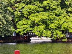 -荔湾湖公园