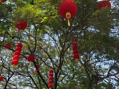 -吴哥国家博物馆