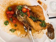 -侨美·唐荔园·40年地道粤菜