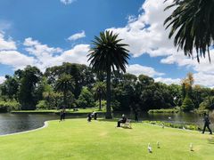 -墨尔本皇家植物园