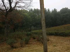 -祥源·阜阳生态乐园