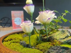 -阿莉餐厅(枣阳路店)