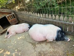 -清河半岛温泉度假酒店