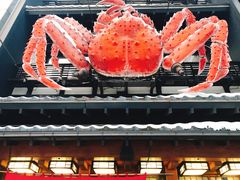 -蟹料理 北海道かに将軍(札幌本店)