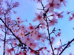 -江南大学(蠡湖校区)