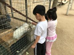 -草根堂农场