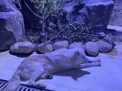 -上海海昌海洋公园