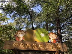 -大岭沟猕猴桃谷风景区