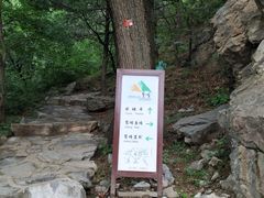 -北京鹫峰国家森林公园