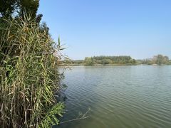 -翠湖国家城市湿地公园