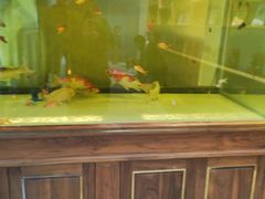 -大地院线珠江摩尔店(CL全景超级影院)