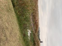 -春花秋色城市公园