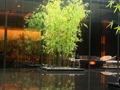 -璞瑄酒店大堂吧