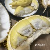 520开出报恩榴莲……