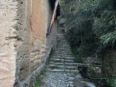 -杨家堂村