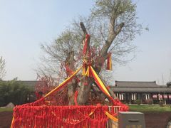 -西安汉城湖景区