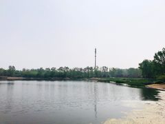 -永定河休闲森林公园