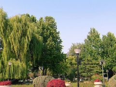 -睦南公园