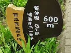-洛阳市隋唐城遗址植物园