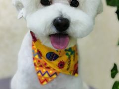 -乐琪宠物(青塔西路店)