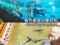-耕渔小院·湖南鱼鲜(望城店)