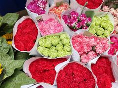 -桂林市花鸟市场