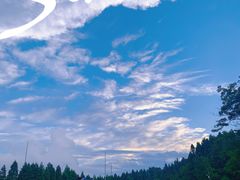 -武陵山森林公园