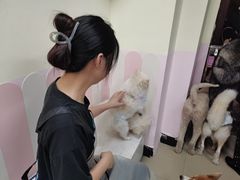 -汪说·狗咖(旺城大厦店)