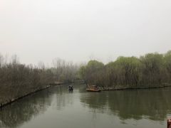 -溱湖国家湿地公园