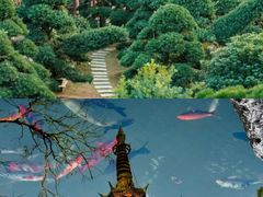 -橘子洲景区