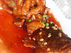 松子桂鱼-江南村酒家