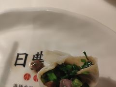 海肠水饺-日丰园海肠水饺·老字号大连海鲜(和平广场店)