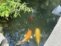 -荣国府