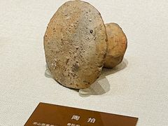 -盘龙城国家考古遗址公园