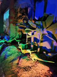 -恐龙探索乐园(磁器口店)