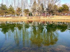 -大兴滨河森林公园