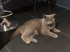 -吱咖啡西式简餐