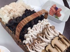 -宛平九号
