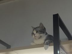 -小时光咖啡馆(开森度假森林店)