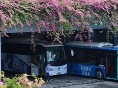 -深圳仙湖植物园
