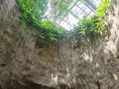 -南山植物园