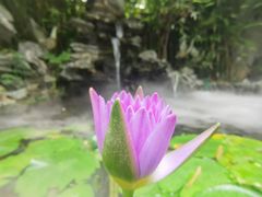 -花锦堂·隐庐