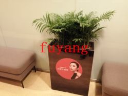 -Yestar杭州艺星医疗美容医院