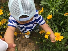 -大兴滨河森林公园