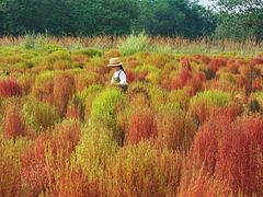-汉长安城未央宫国家考古遗址公园