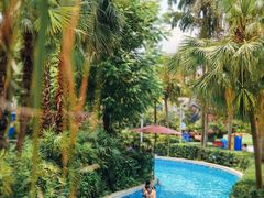 -重庆海昌加勒比海水世界