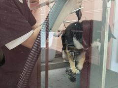 -FAELING PETS美天灵宠物(合生汇店)