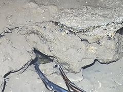 -石老人观光园